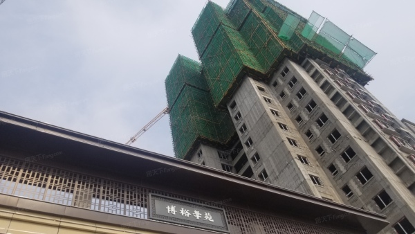 潍坊博裕学院_实景图_2