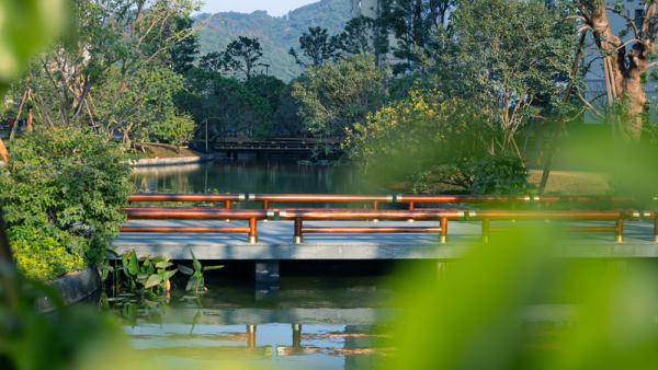星河湾半山_实景图_2