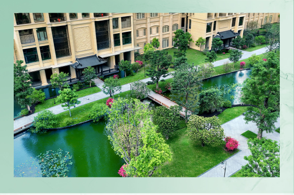 星河湾半山_实景图_3