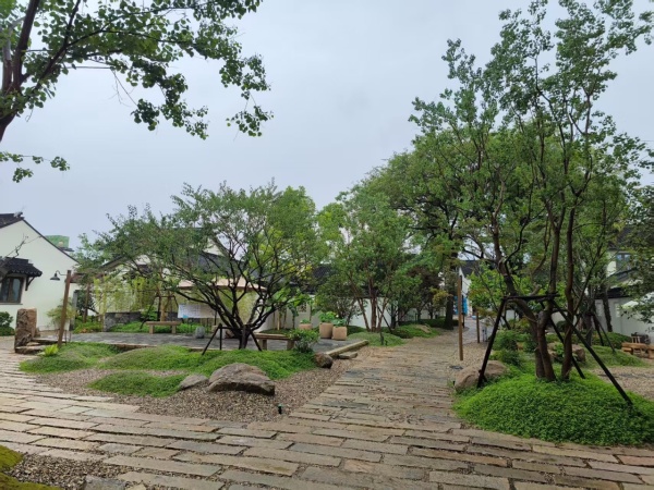 东甫里_实景图_1