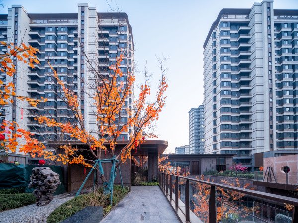 中建·星光城市实景图