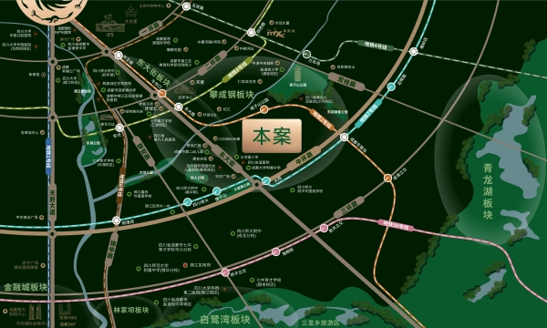 锦上锦效果图