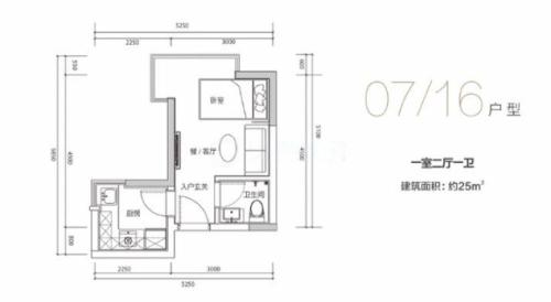 鹏公馆1室2厅1卫-25m²-2