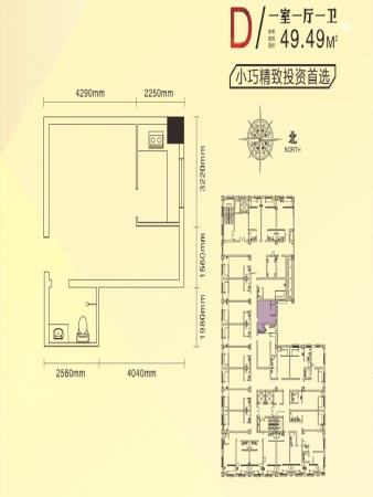 白马公馆D户型49.49平-1室1厅1卫1厨建筑面积49.49平米