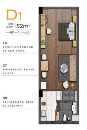 空港新天地D1户型-1室1厅1卫1厨建筑面积52.00平米