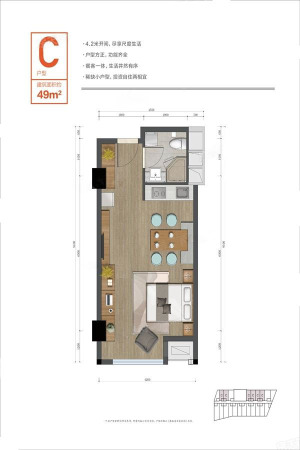 临平新时代C户型-1室1厅1卫1厨建筑面积49.00平米