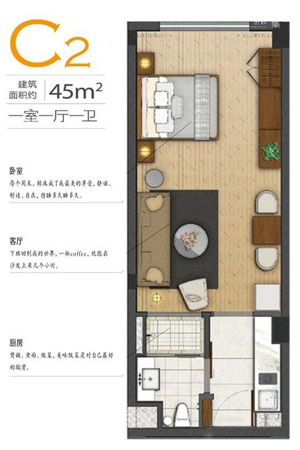 空港新天地C2户型-1室1厅1卫1厨建筑面积45.00平米