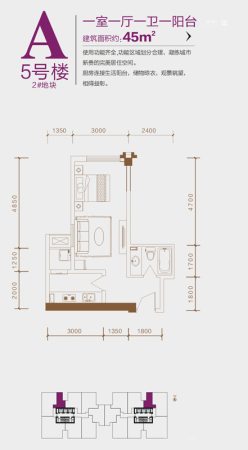 盛龙广场A户型-1室1厅1卫1厨建筑面积45.00平米