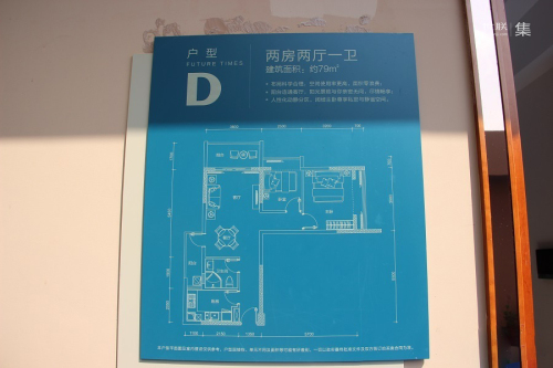 前海时代·CEO公馆首期住宅D户型-2室2厅1卫1厨建筑面积79.00平米