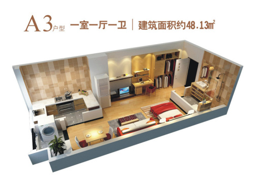 中国西部金融服务中心A3户型-1室1厅1卫1厨建筑面积48.13平米