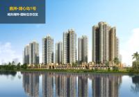 惠州鑫洲湖心岛1号